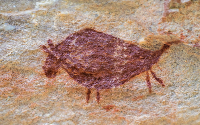 The Buffalo