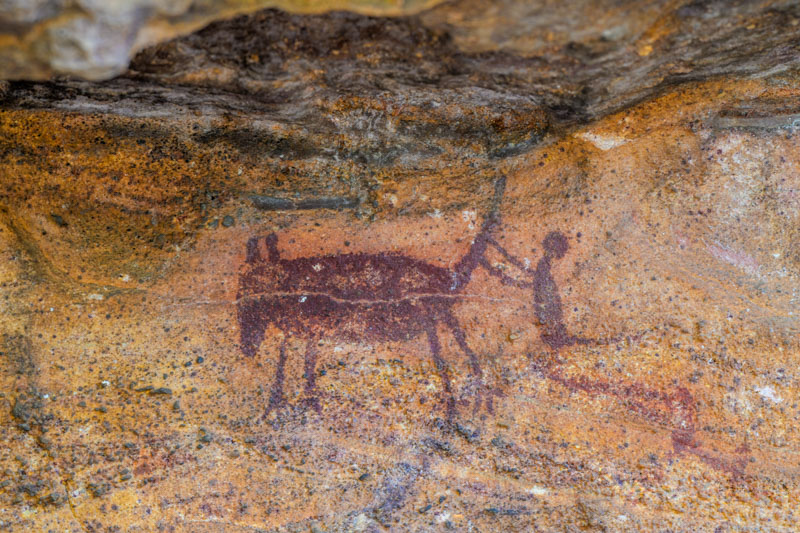 Megafauna Hunt